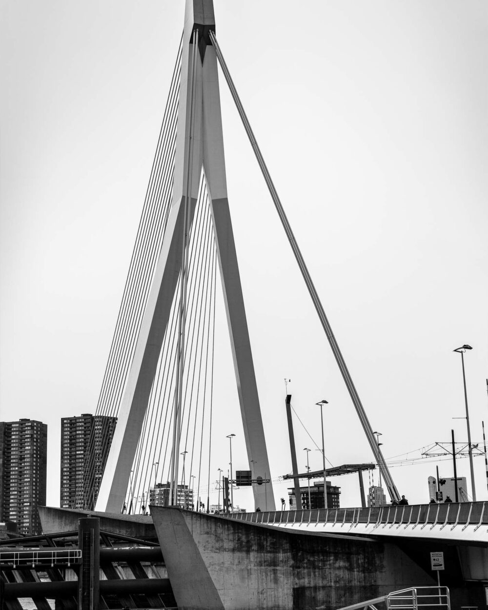 Großaufnahme der Erasmusbrücke in Rotterdam in schwarz-weiss